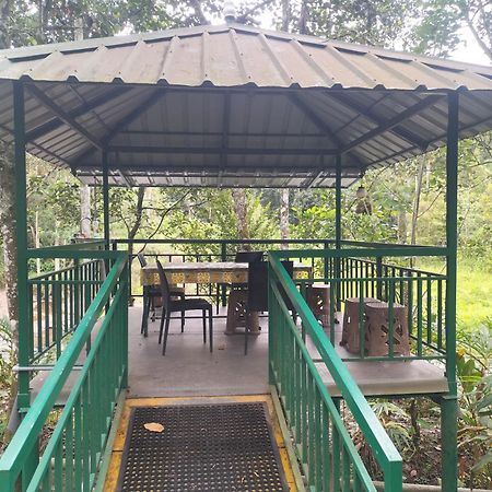 Vibgyor Homes Munnar Ngoại thất bức ảnh
